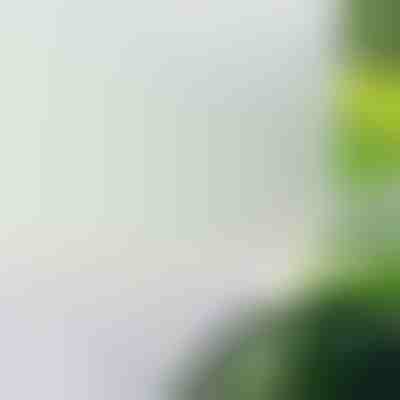 Okleina Do Szyb Matowa Folia Okienna | WINDOWFILM