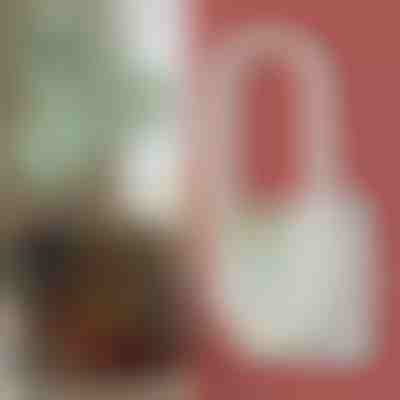 Ultradźwiękowy zabójca komarów z konwersją częstotliwości i lampką nocną LED | ANTIMOSI