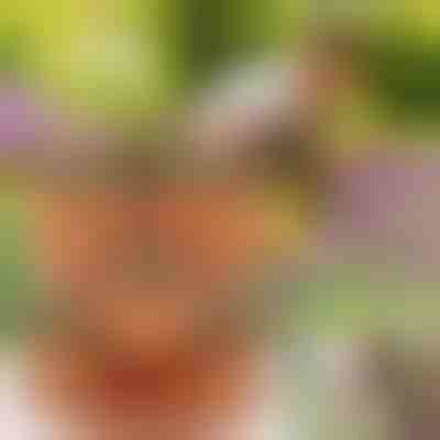 Doniczki z regulacją wysokości (3x darab) | PLANTUP