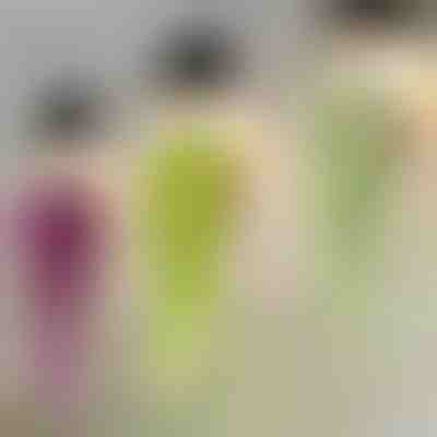 Dekoracyjna roślina wisząca | IVYORA