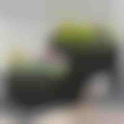 Skrzynka ogrodowa do uprawy | BOTANITKO